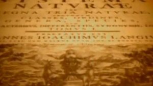 Карл Линней / Karl linney