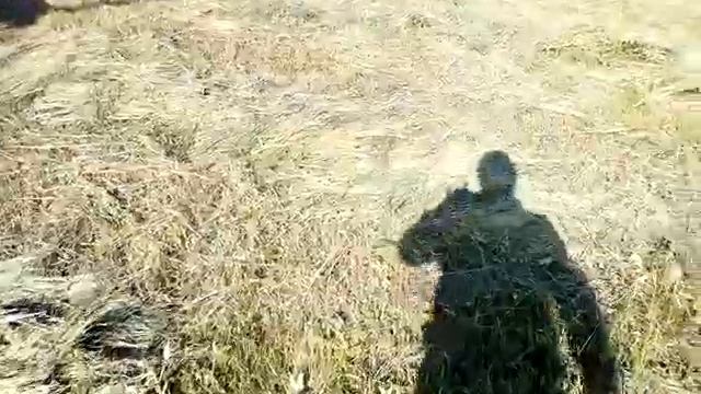 Гадюка чуть не укусила на сборе сена? смотреть онлайн