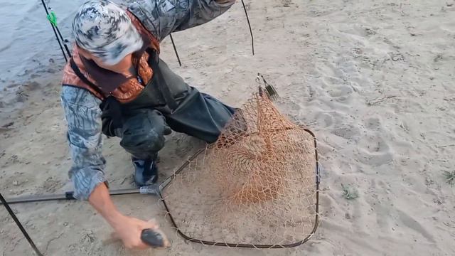 Второй выезд на карпа.Озеро Теренколь👌🐟