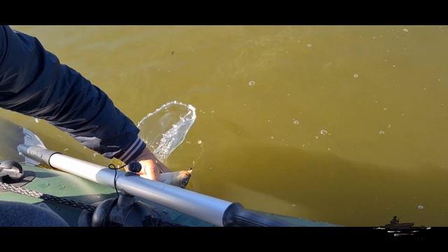 ТРОФЕЙНЫЙ КАРАСЬ НА БОКОВОЙ КИВОК ЛЕТОМ ! РЫБАЛКА С ЛОДКИ ПО ЖМУРКАМ ! смотреть онлайн