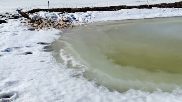 ЧТО СЛУЧИЛОСЬ С ПРУДОМ? ПЕРВАЯ ВЕСНА НА ПРУДУ.НАБОР ВОДЫ. ОТКОСЫ И ПЕРЕЛИВ. ПРУД. СВОЙ ПРУД.