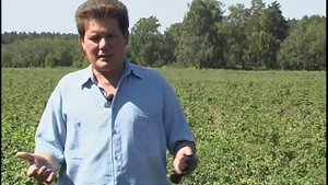 фермеры России _ Russian Fermers