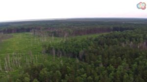 Ласковское и Сегденское озеро с высоты птичьего полета