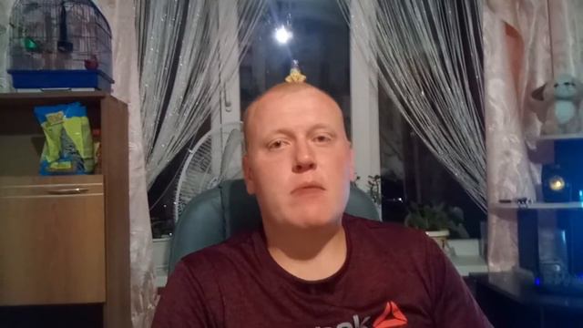 Авангард - Барыс прогноз | Прогноз на хоккей КХЛ 14.10.18 смотреть онлайн