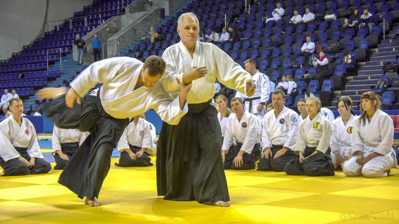 Мастер класс Айкидо, Найдов-Железов О.К.