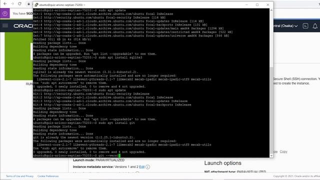 Configurasi dan Instalasi Dengan Oracle Server & Oracle Database - Linux Ubuntu - Gitea 2021 смотреть онлайн