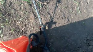 Гербицид Гоал по чесноку