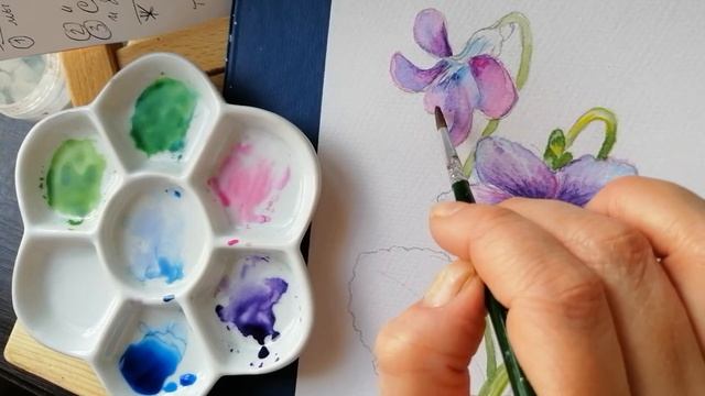 Лесные фиалки Часть 2