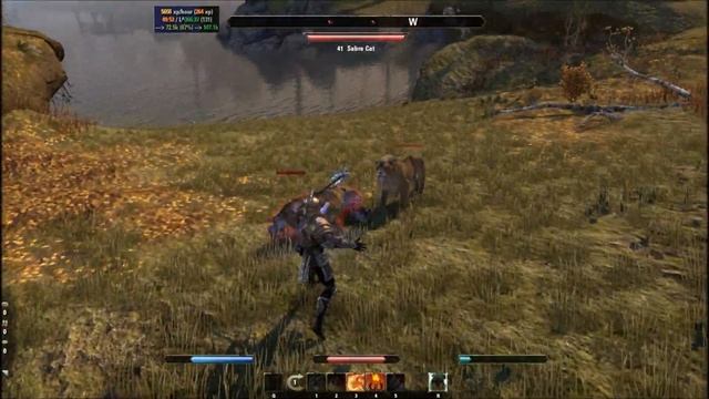 ESO: Ebonheart Grinding Locations (AMZING LOOT & AMAZING EXP) смотреть онлайн