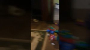 Дети танцуют под разминку малышариков