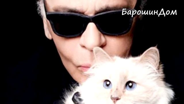 Про кошку модного дома Chanel Карла Лагерфельда - Шупетт. А также про Тимошку. Черепашку и МиссМакД