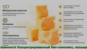 Закваска Для Сыра Что Это