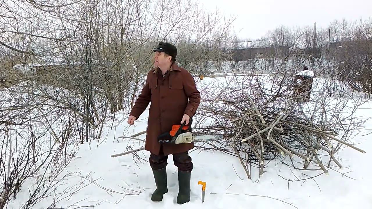 Кронирование деревьев. смотреть онлайн