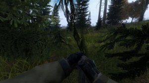 Путь выжженной земли в DayZ