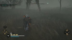 Assassin's Creed Valhalla #Гнев Друидов#Дети Дану