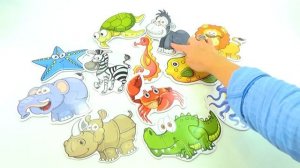 Учим диких животных джунглей и морских обитателей Развивающее видео для малышей