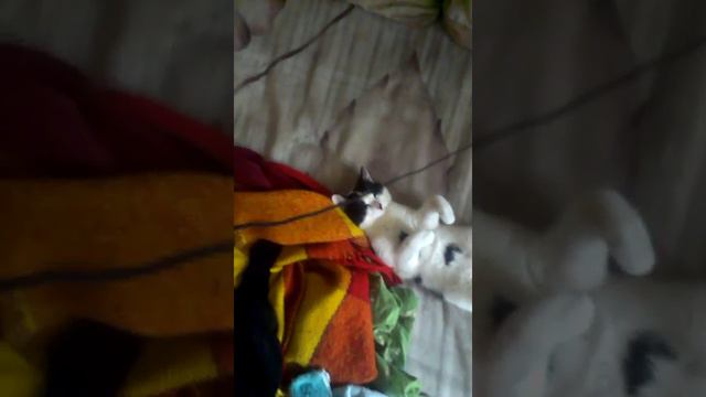 Марик спит на спине. смотреть онлайн