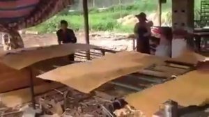 Как делают шпон?