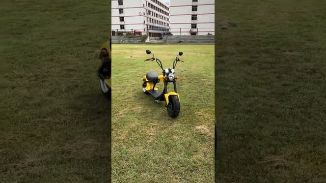 ElektroRoller Chopper Harley electric scooters