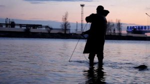 КОРЮШКА НА ПАУК!!! Открытие!!!