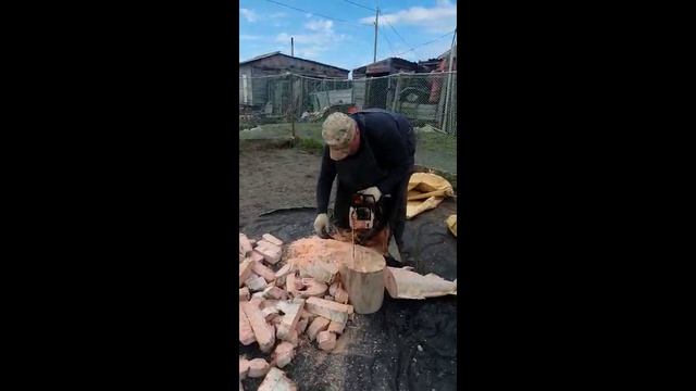 На Камчатке садят картофель с деликатесной рыбой.