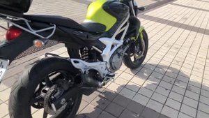 Suzuki Gladius 650