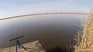 РЫБАЛКА НА КАРПА В НОЯБРЕ, ЛОВЛЯ НА ФЛЭТ-ФИДЕР Flat Feeder