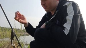 Прогулка на озеро Решетниково.Walk to Lake Reshetnikovo.