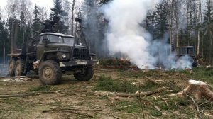 Валка леса, Трелёвка леса. Вот так нужно работать в лесу. ,,, telling the forest,,, Walz week.
