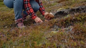 Вот Почему Трюфели на Самом Деле Такие Дорогие