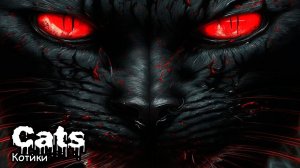 Котики (2017) Короткометражный фильм