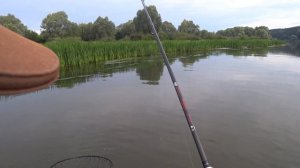 Офигенное видео Смотреть до конца. Mepps Aglia Long CU №2.