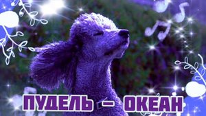 Пудель - Океан|Шоу "Маска-4"|[8-Выпуск?]