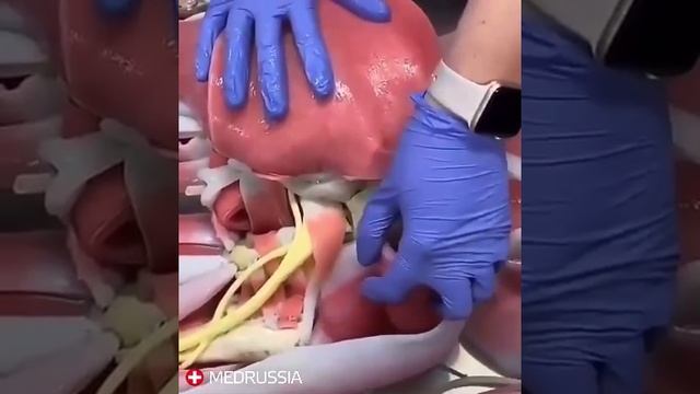Синтетический человек