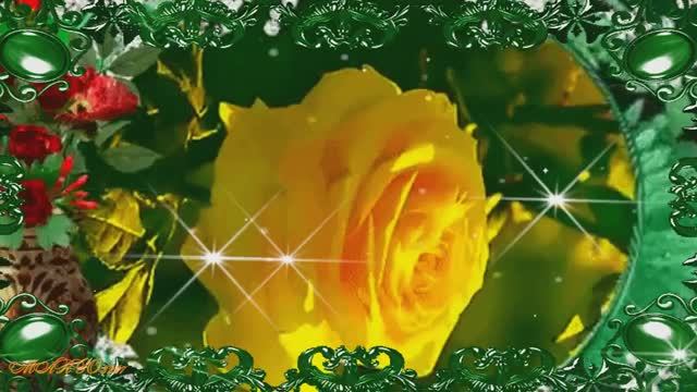 Шикарные цветы-
 Для красивой женщины в День Рождения!