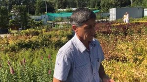 Тля и актара