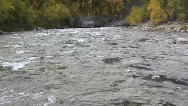 Шивера на реке Балбанью смотреть онлайн