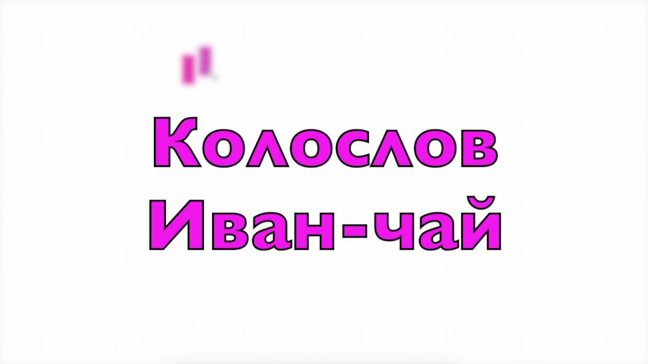 Колослов Иван-чай