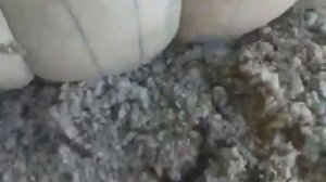 НОВОС МОЛ БОКИШ РЕЖИМИ  СИРЛАРИ