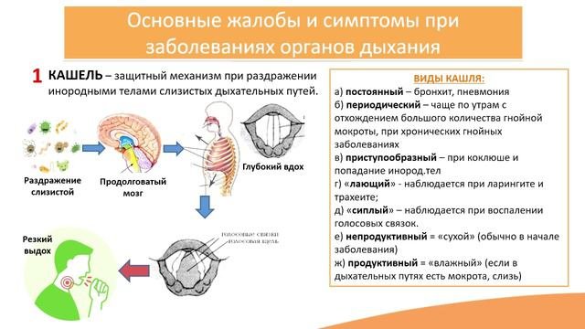 4.1. Заболевания органов дыхания