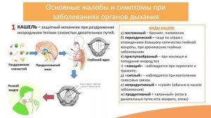 4.1. Заболевания органов дыхания