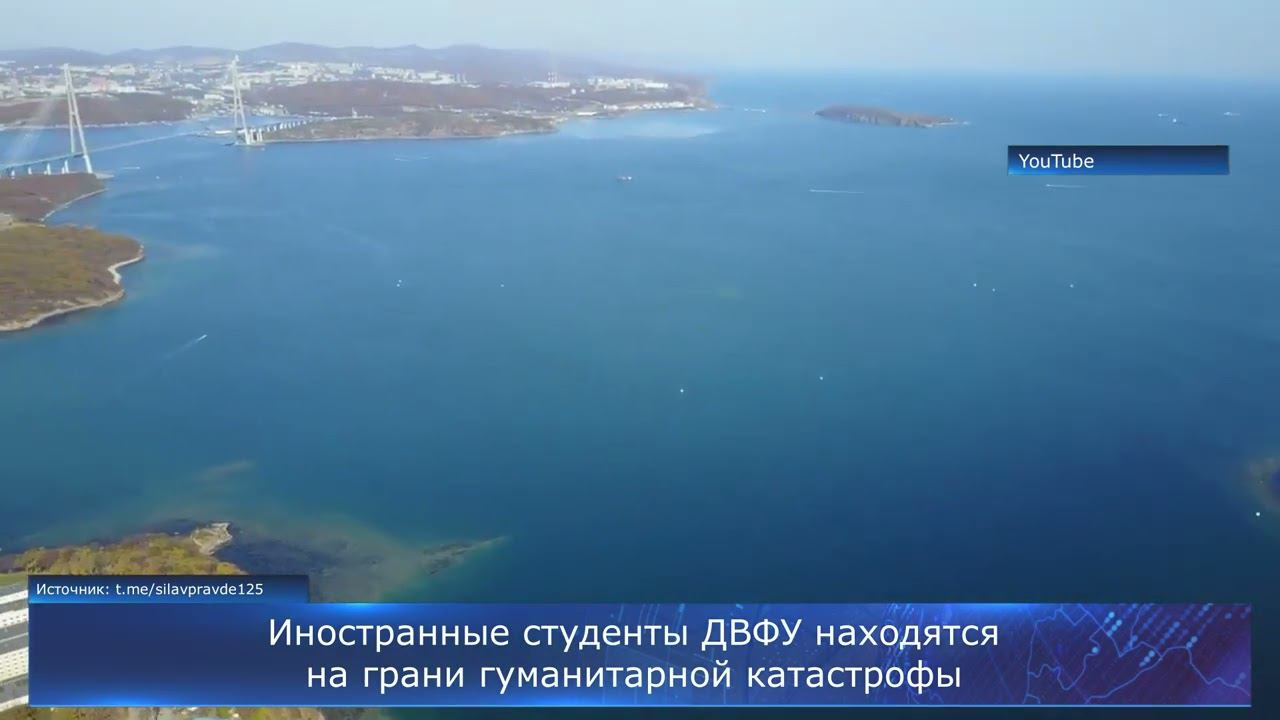 Иностранные студенты ДВФУ находятся на грани гуманитарной катастрофы
