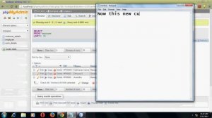 Develop a desktop application using Java in Netbeans for Hotel - JAVA Programmer