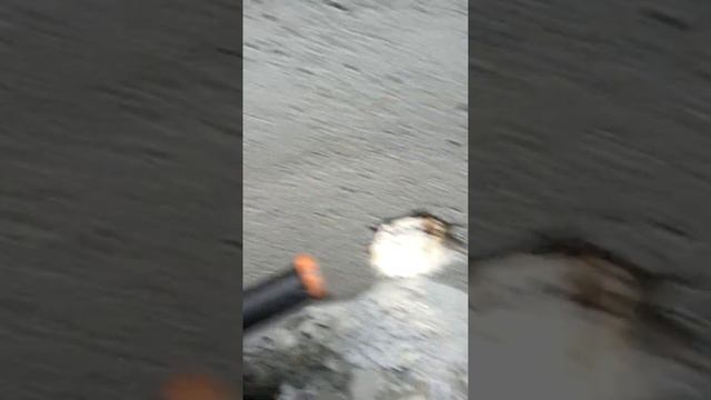Вода в дом ч 3 смотреть онлайн