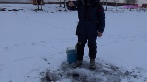 "Сабанеевская" рыбалка и прикормка на видео. Часть 5. Форель: на блесну.