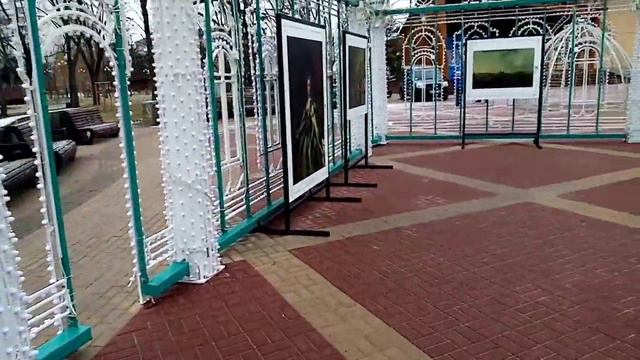#Белгород / Парк Победы, Эрмитаж/ Прогулки по городу / Январь #Россия