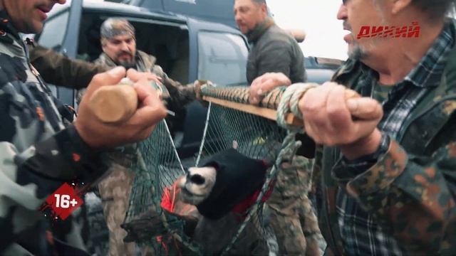 Охота в лицах с Сергеем Ястржембским. Игорь Донцов. Россия смотреть онлайн