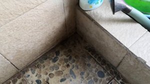 Полив туман своими руками