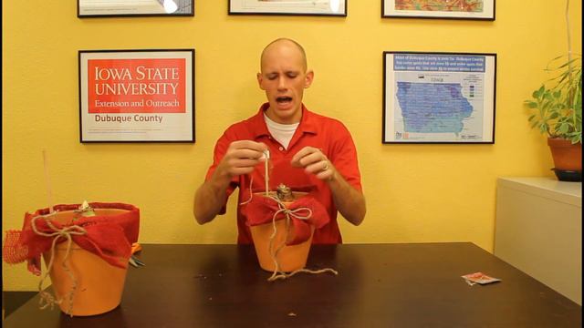 Planting an Amaryllis Bulb смотреть онлайн