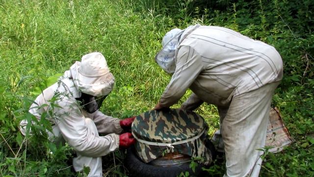 На пасеке, роевая горячка пчел смотреть онлайн